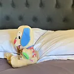 Дом отдыха Petit Wilogne Уффализ
