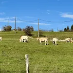 Petit Wilogne * Уффализ