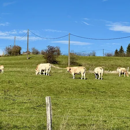 Petit Wilogne Nyaraló Houffalize