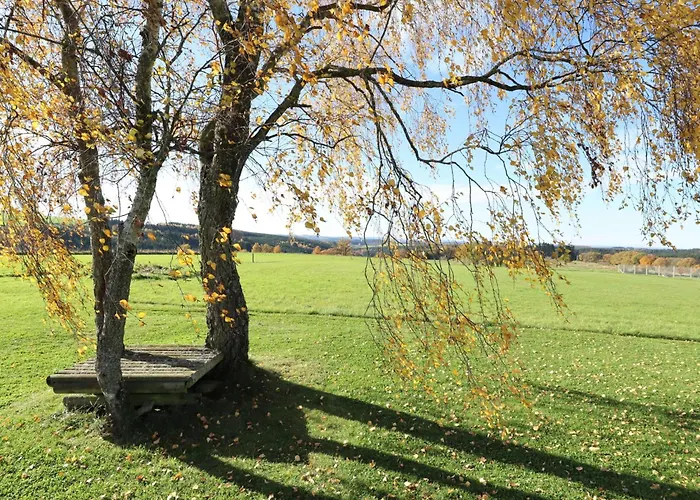 Hébergement de vacances Petit Wilogne Houffalize