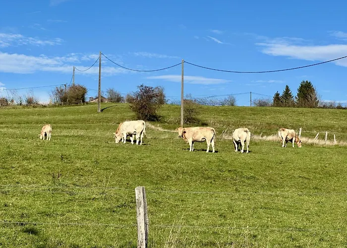 Petit Wilogne * Houffalize